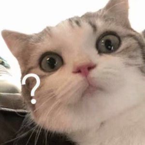 我要看逼视频免费的。
